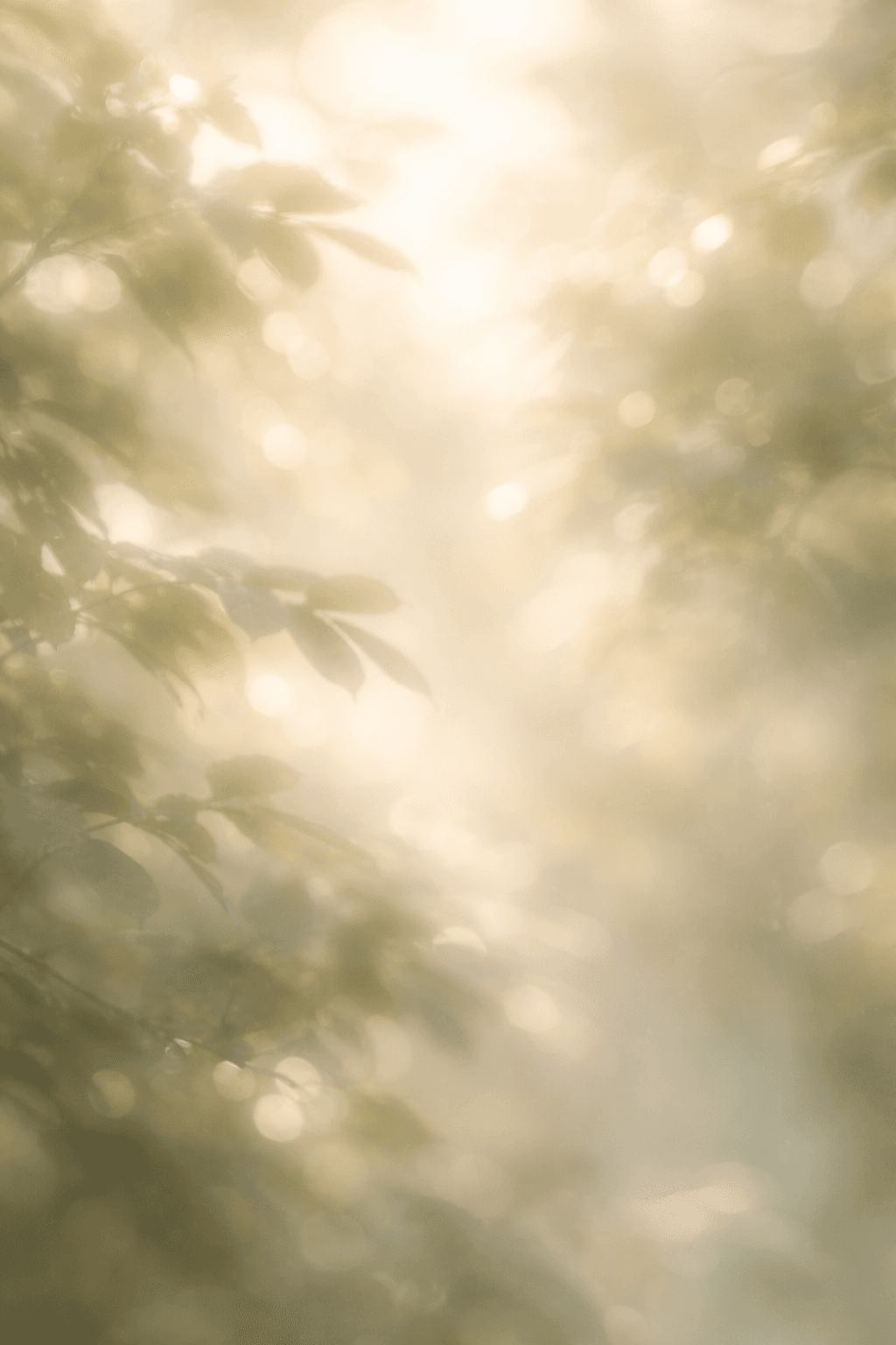 Dreamy morning visual representing a calm assistant workspace